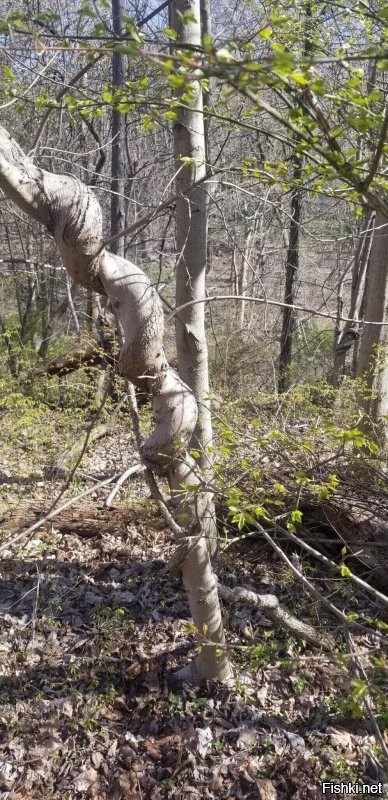 Увидел возле дороги полгода назад.