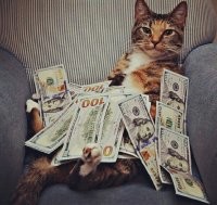 Они  к тому же наследство получили.