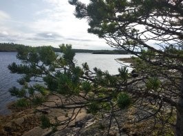 сплавлялись этим летом по р. Умба с выходом в белое море. Природа очень красивая на островах