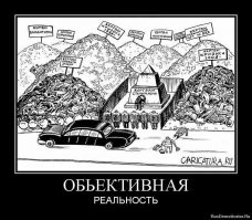 Плохой сигнал. Новости сталинских репрессий. Про пересадку деревьев
