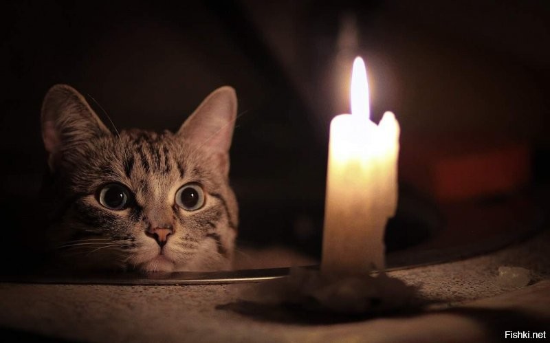 Была серия котэ с лампой - теперь будет котэ со свечой