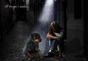 15 фотографий, доказывающих, что домашние любимцы делают человека счастливее