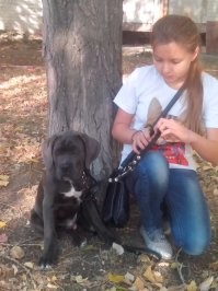 Ну почти. Только серенький)