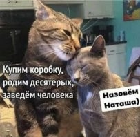 Еще вопрос, кто кого заводит ! :)