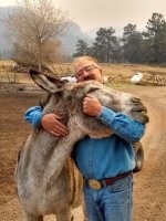 Это не ослик, а ослица и её любимый.