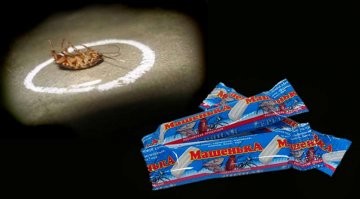 Надо наладить экспорт в Австралию! От "Тайги" вообще все дохнет - муравьи, осы, мухи итд