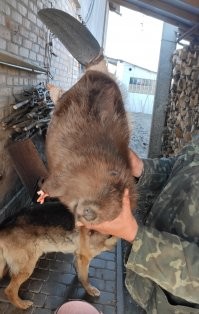 Собственной персоной!