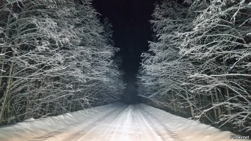 Несколько лет назад под Архангельском нарвались с сыном на минус 46. Дизел замёрз.
Хороша, что ехать не надо было. Но скоро в доме перемёрз водопровод и начались причие неприятности. Сначало было смешно, а когда температура в доме упала до +8 - стало грустно.
Выжили.
Любой способ выживания хорош, при условии безопасности. Всем добра и здоровья.