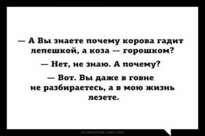Вы даже не дифференцируете понятия "овладевания" и "отношения к", но упорно пытаетесь учить других. Прямо как в анекдоте: