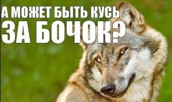 Факт о волках: Кусает тех, кто лег на краю.