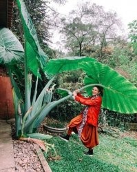 Судя по лицу, она скурила один из листов. Или какие-то другие