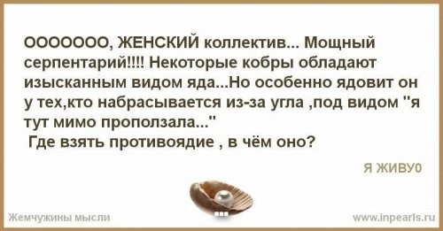 Прикольные и смешные картинки