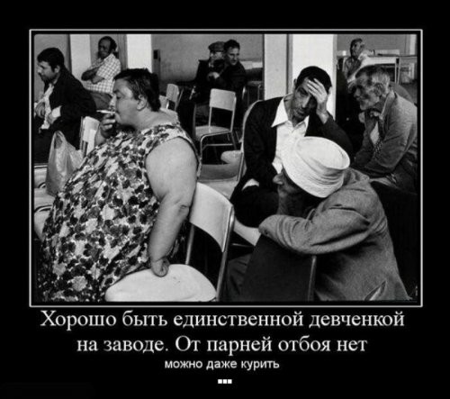 Прикольные и смешные картинки