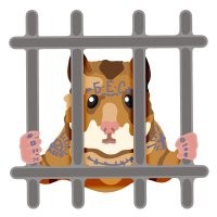 Побег из тюрьмы храброго хомяка