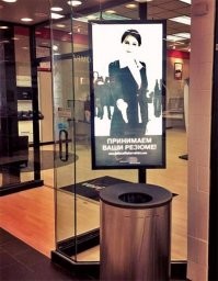 Лучшие резюме с Авито, или почему некоторые люди никак не могут найти работу