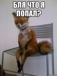 Хорошо, что не эта лиса в яме была. Эта бы просто повесилась на веревке ...