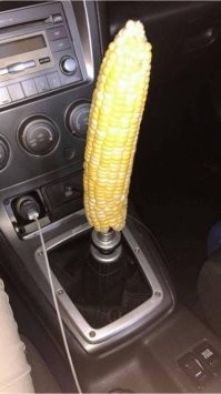 Фанат  Хрущёва ?