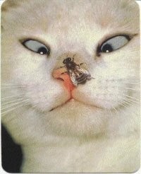 Неочевидные факты