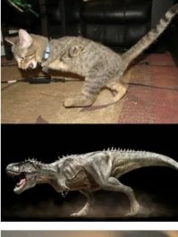 От динозавров.