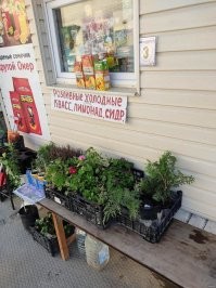 Прукаротура вужаси от сетуакции, но нам соровно