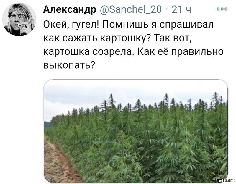 Политические комментарии из инета