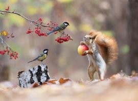 Не люблю фотошоп...