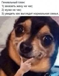 и дать им задачу отмудохать друг-друга