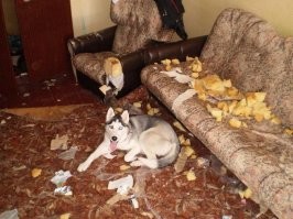 Да, мы в курсе...