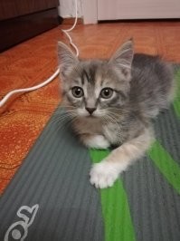 Скоро 3 месяца!