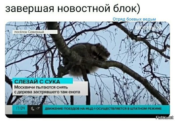 Пора звать специалиста !!!!