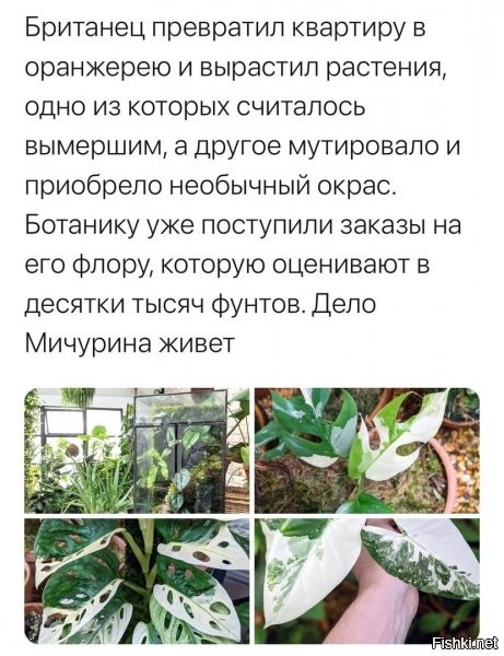 нормальный мужик!