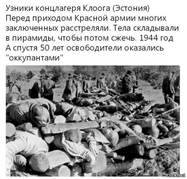 в целом логично, что оказались...ведь это местные там "работали"...а те кого убивали, были в большинстве поголовном - привезенные из вне...
вот потомки убийц и лютуют - убивать безнаказанно запретили,а еще и наказали..ай ай ай