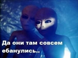 Британец предпочел женщинам эльфиек