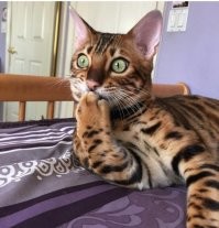 Доза позитива!