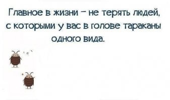 9 признаков идеальных отношений