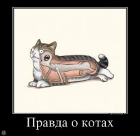 Предметы в разрезе скрывают много интересных деталей