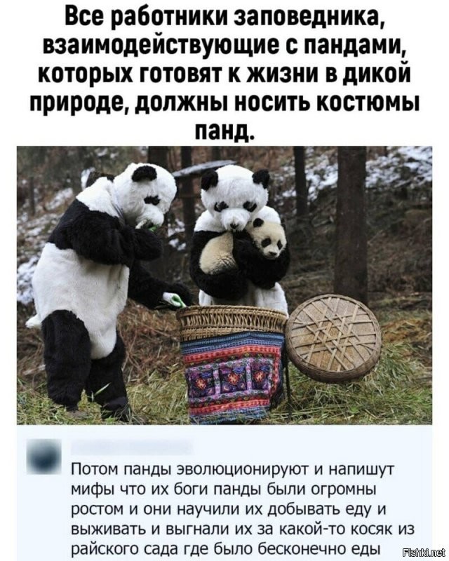 Вот и пояснили библию..