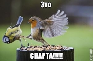 12 интересных фактов о фильме «300 спартанцев»