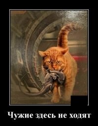 Идея чудовищна, воплощение гениально!