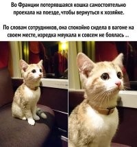 ...только глаза по семь копеек.