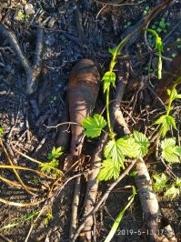 Донецк, Кременец. Прошлый год. Поехали на дачу мясо пожарить....