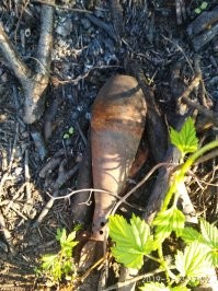 Донецк, Кременец. Прошлый год. Поехали на дачу мясо пожарить....