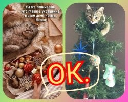 Доза позитива!