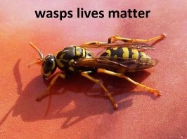 Дрон-огнемёт против осиных гнёзд