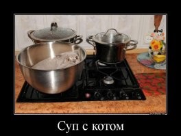 Демотиваторы: дети, животные и непобедимая техника 