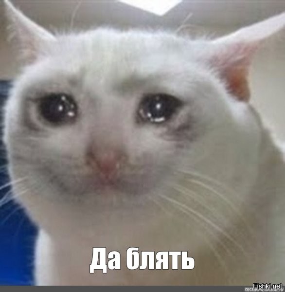 О политике и не только