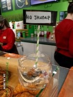 Конфетки в банке, как бы намекают, что посетители думают по поводу этого стартапа.