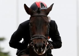 Момент пойман