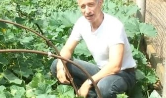 Из огурцов много чего можно сделать.