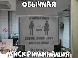 Дискриминация, дискриминация, у них уже 40% женского коллектива в декрете.